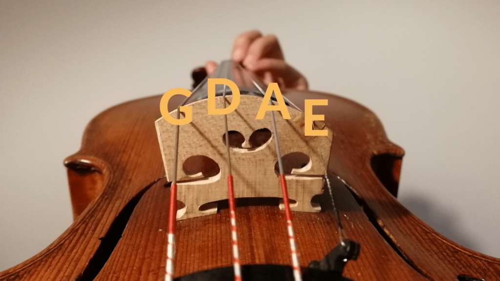 Violin Strings